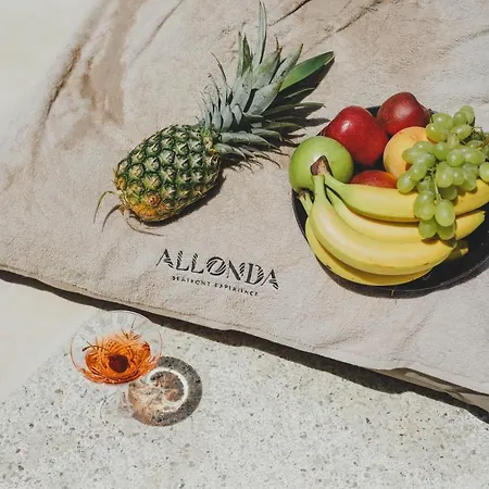 Allonda Seafront Experience Hotel *