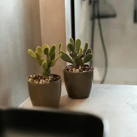 Allonda Seafront Experience Отель *