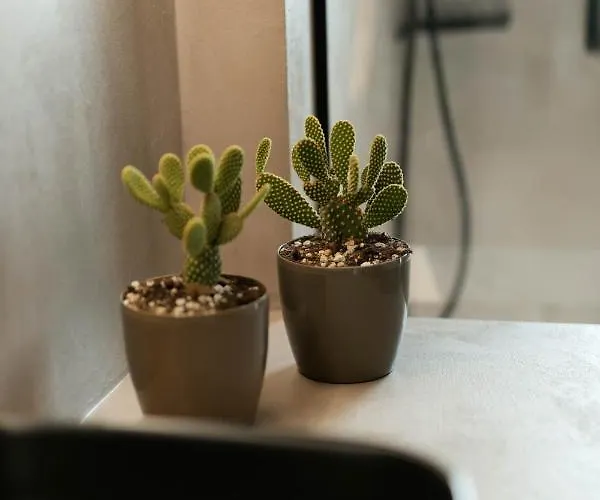 Allonda Seafront Experience Hotel *